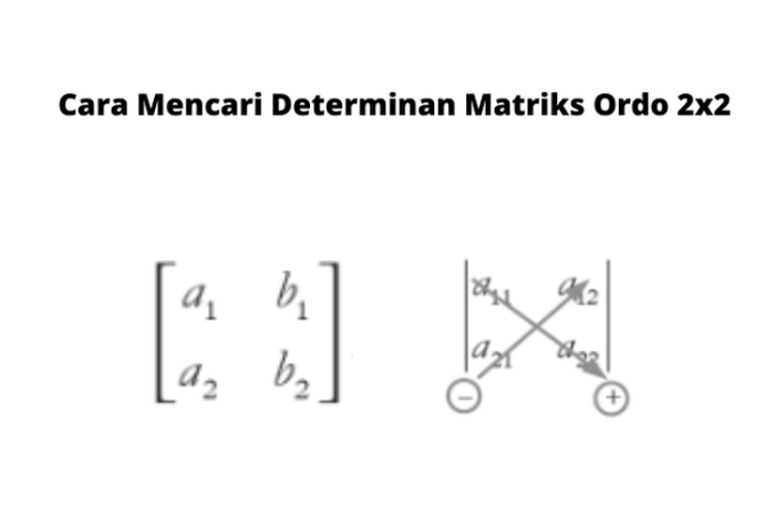 Cara menghitung determinan matriks